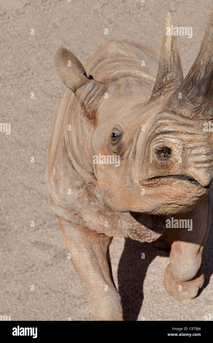 Rhinoceros close up Foto Stock