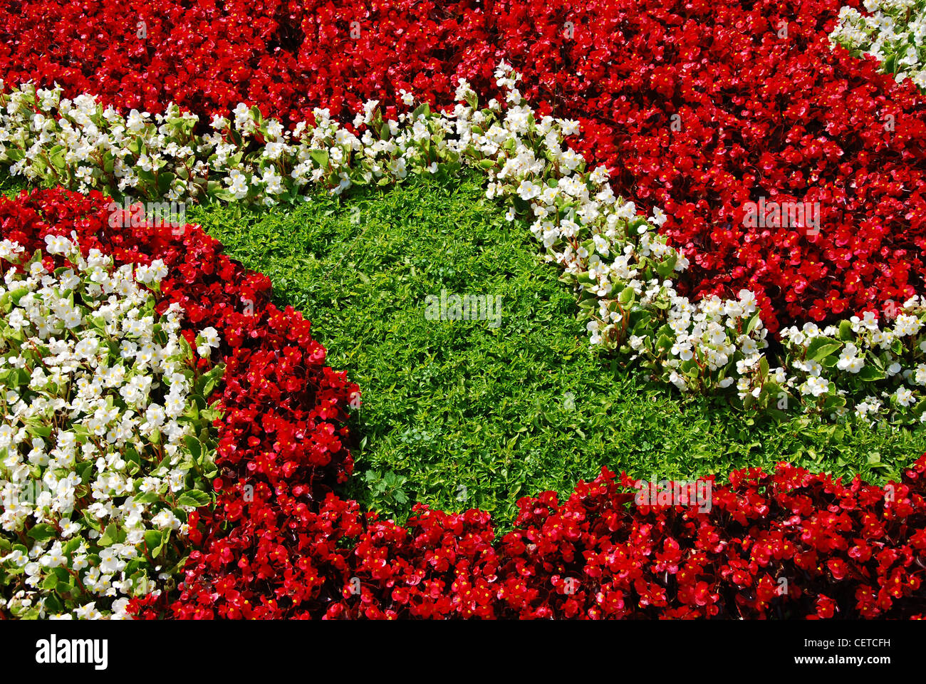 Il bianco e il rosso dei fiori nel giardino del castello. Foto Stock