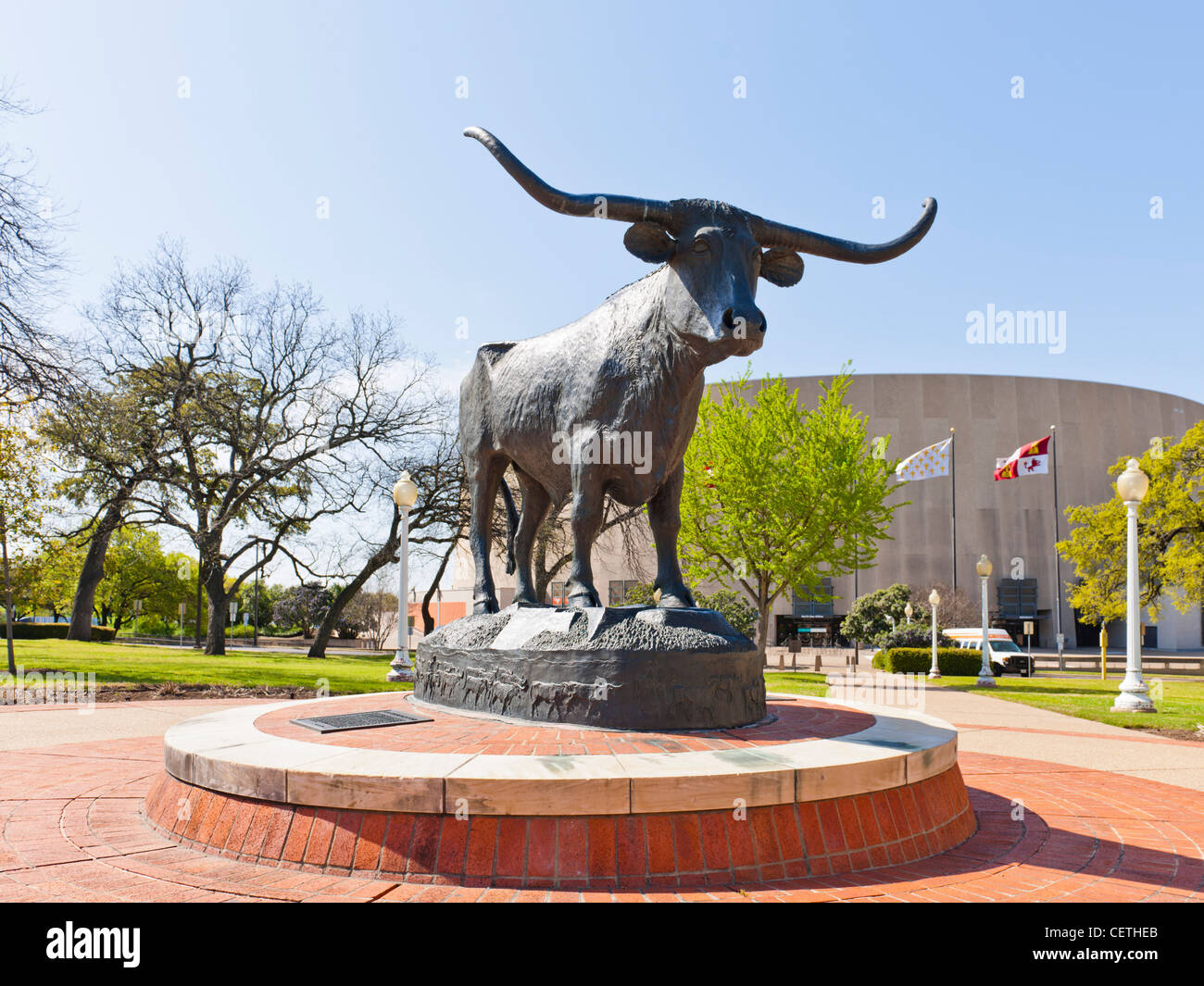Texas Longhorn scultura, Austin, TX Foto Stock