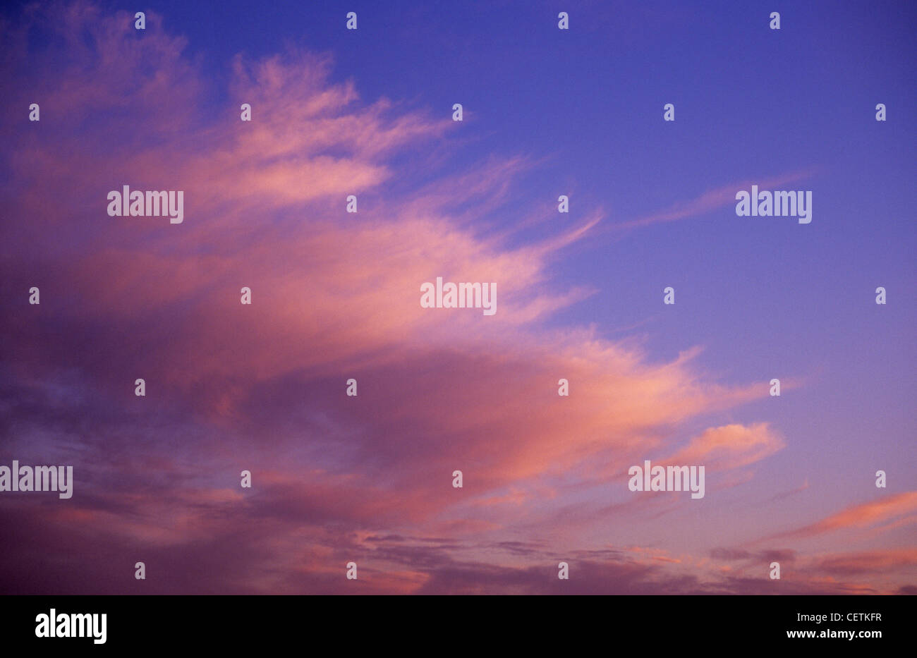 Wispy cirrus nuvole diventò arancione rosa e oro sotto blu crepuscolo il cielo al tramonto Foto Stock