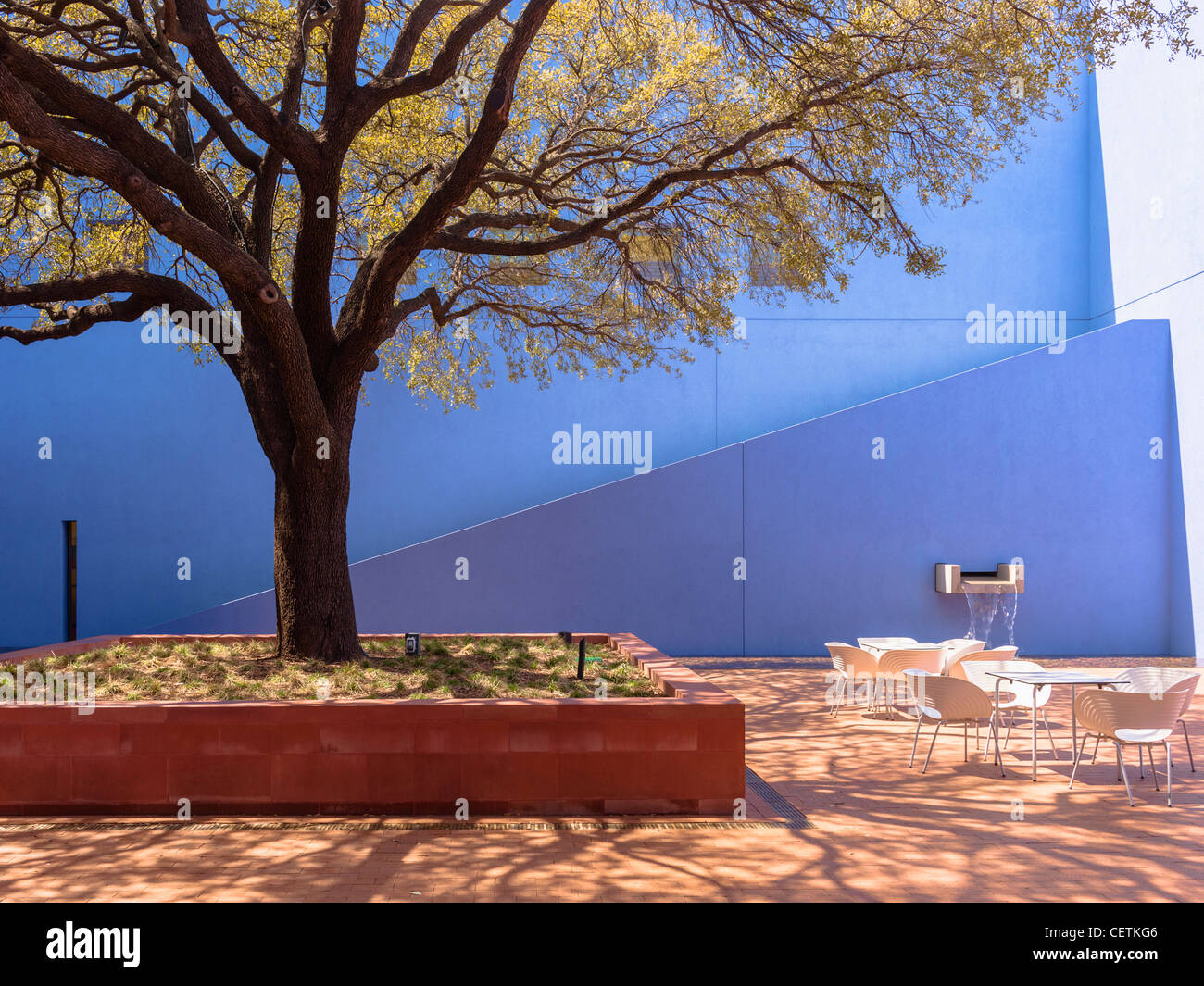 Cortile del patrimonio Museo di Scienza e storia Fort Worth Foto Stock