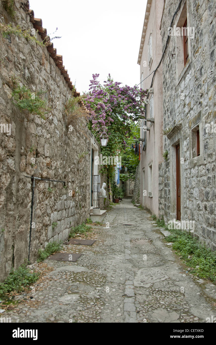 Dubrovnik Città Vecchia patrimonio mondiale dell UNESCO, Croazia, Europa Foto Stock