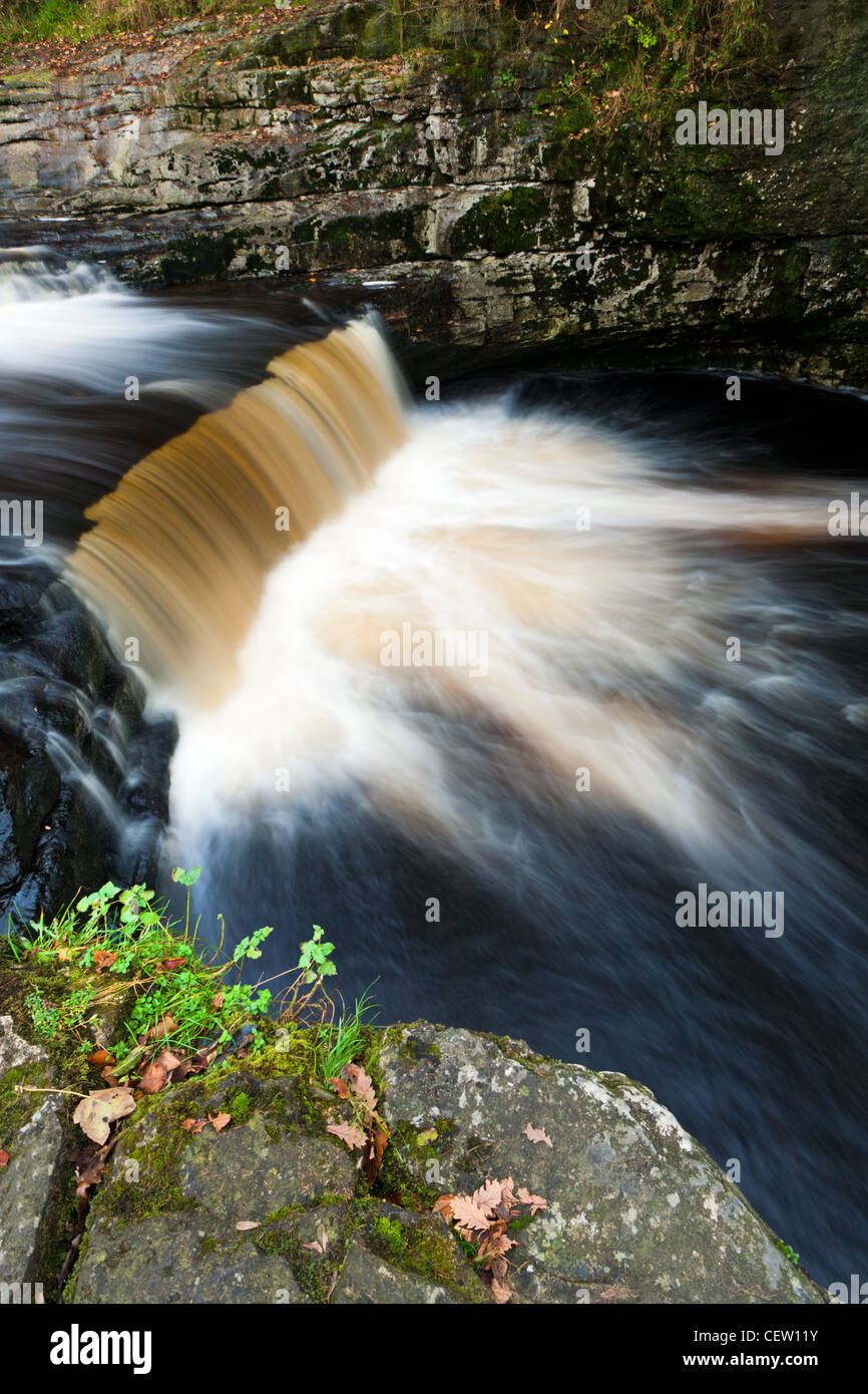 Stainforth vigore in Stainforth, North Yorkshire Foto Stock