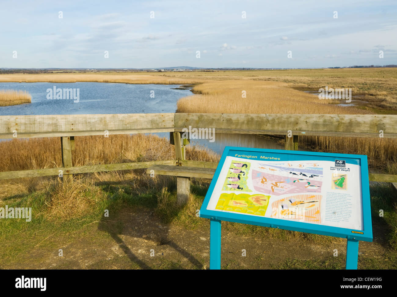 Paludi Farlington Riserva Naturale Hampshire REGNO UNITO Foto Stock