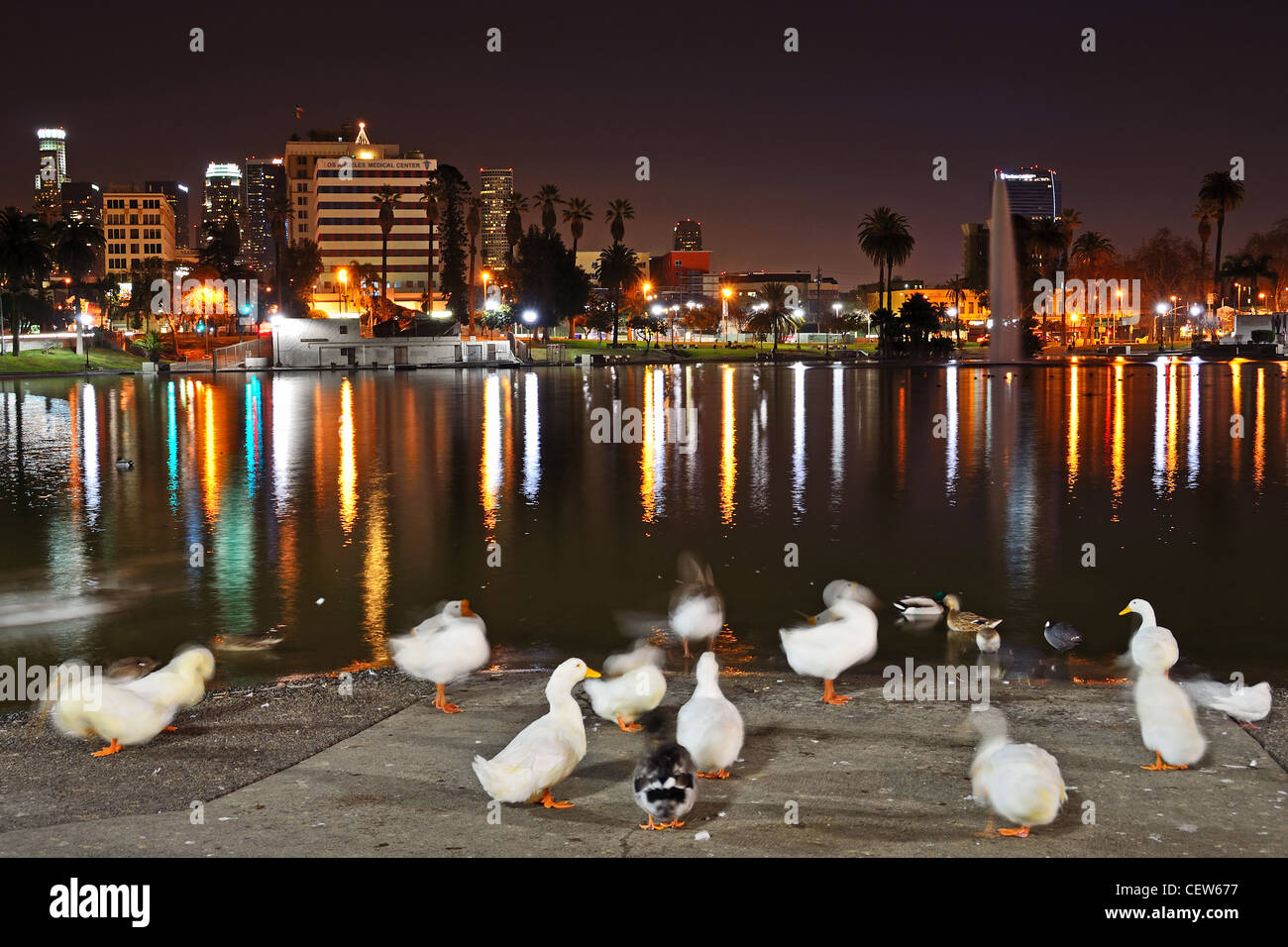 Il centro cittadino di Los Angeles skyline da Macarthur Parco Lago Foto Stock