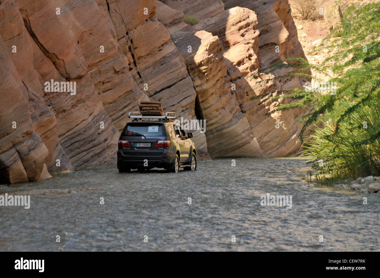 Fiume che scorre attraverso un canyon del deserto Foto Stock