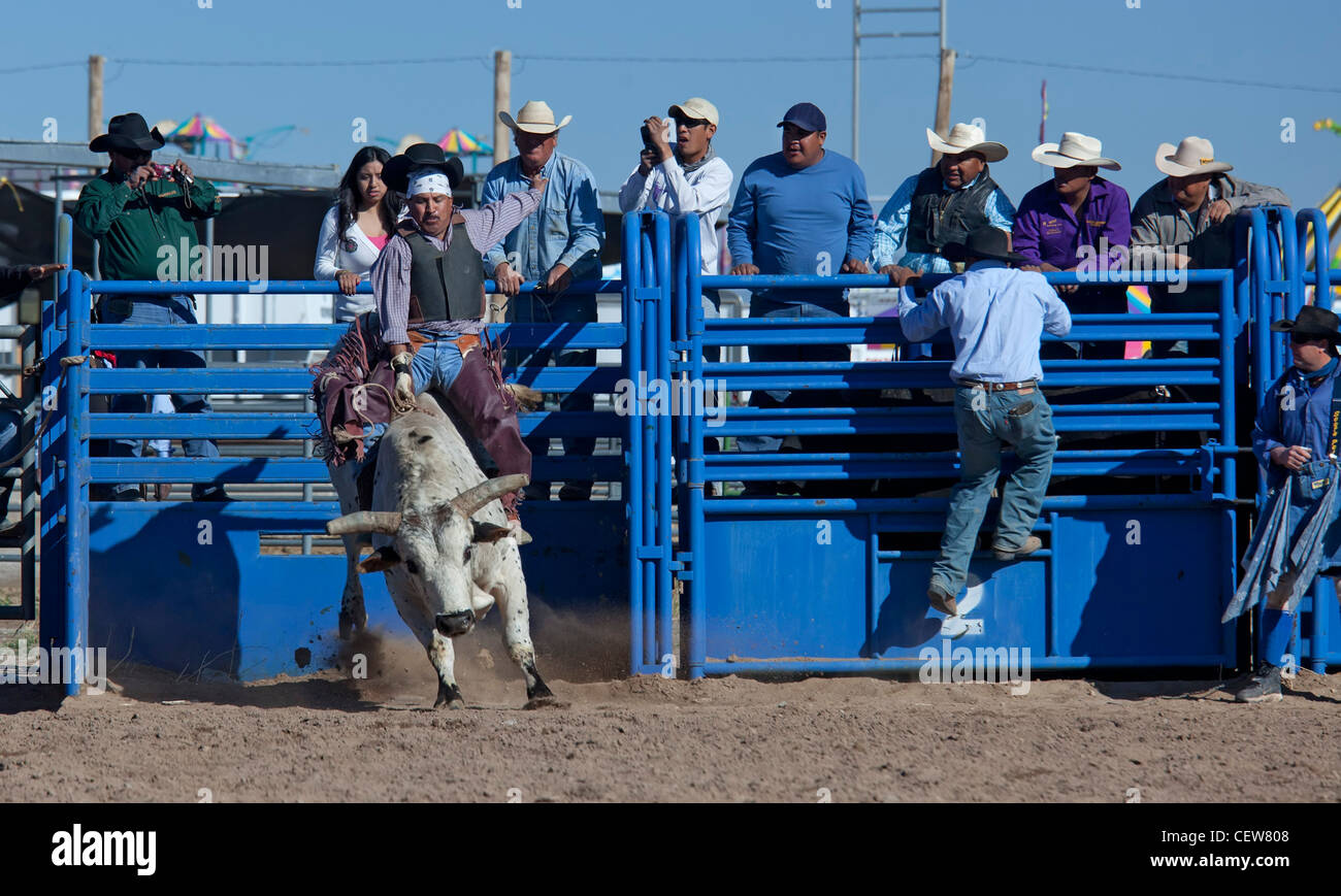 Vende, Arizona - Il toro di equitazione la concorrenza nel Masters division (età 40+) del Tohono O'odham nazione indiana tutti Rodeo. Foto Stock