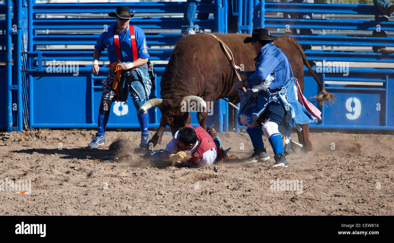 Vende, Arizona - Il toro di equitazione la concorrenza nel Masters division (età 40+) del Tohono O'odham nazione indiana tutti Rodeo. Foto Stock