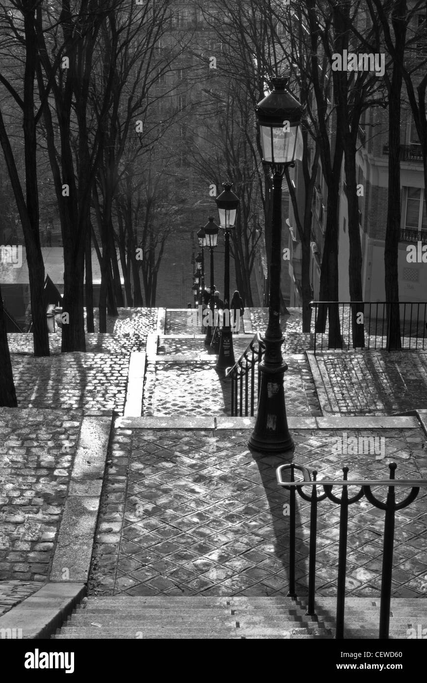 Parigi, Montmartre. In bianco e nero a pressione atmosferica, guardando in giù in acciottolato percorso a gradini,old street lights/ balaustra. Foto Stock