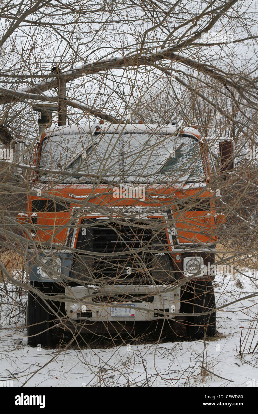 Un semi carrello parcheggiato nella neve e circondato dai rami. Foto Stock