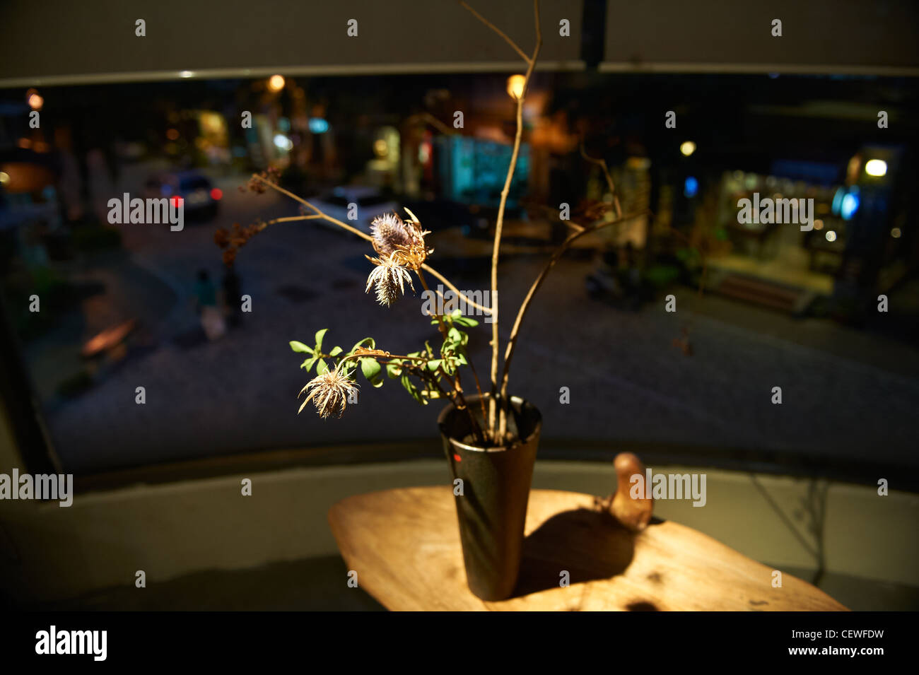 Un'orchidea sul display nella vetrina di un negozio di ceramica nella città di Yingge. Foto Stock