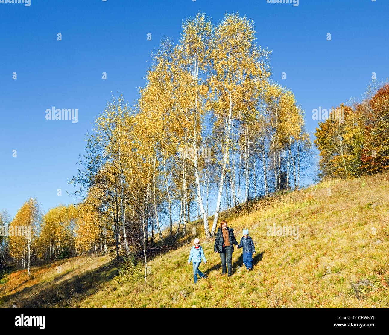 La famiglia (madre con bambini) a piedi sulla montagna di autunno Nimchich pass (Carpazi, Ucraina) . Foto Stock