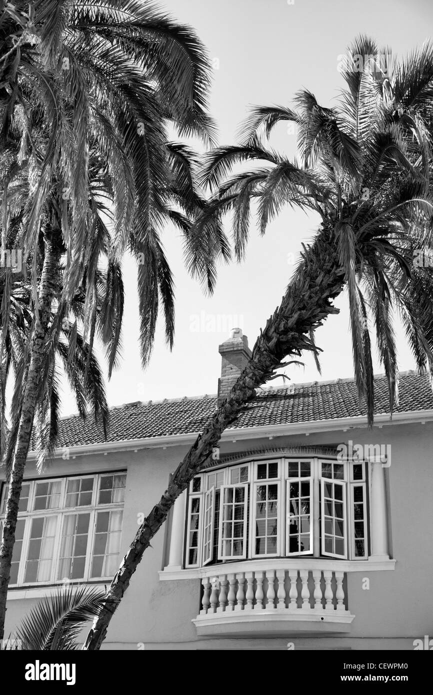Edificio in stile coloniale con palme - finestra dettaglio Foto Stock