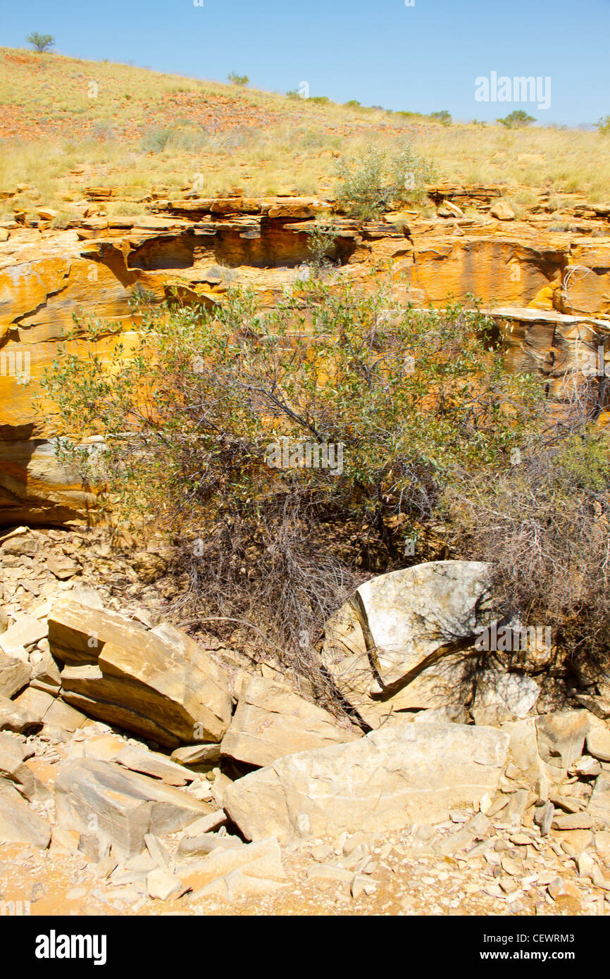 Godfrey's serbatoio, Australia, Outback, Canning Stock Route, Breaden colline (Southesk altipiano) Ben 48. Cascata prevalentemente asciutto. Foto Stock