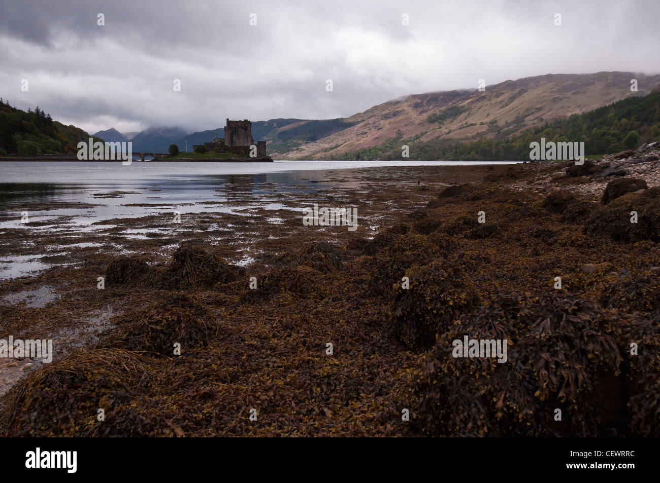 Eilean Donan Castle e Loch Duich, Dornie, Highlands Foto Stock