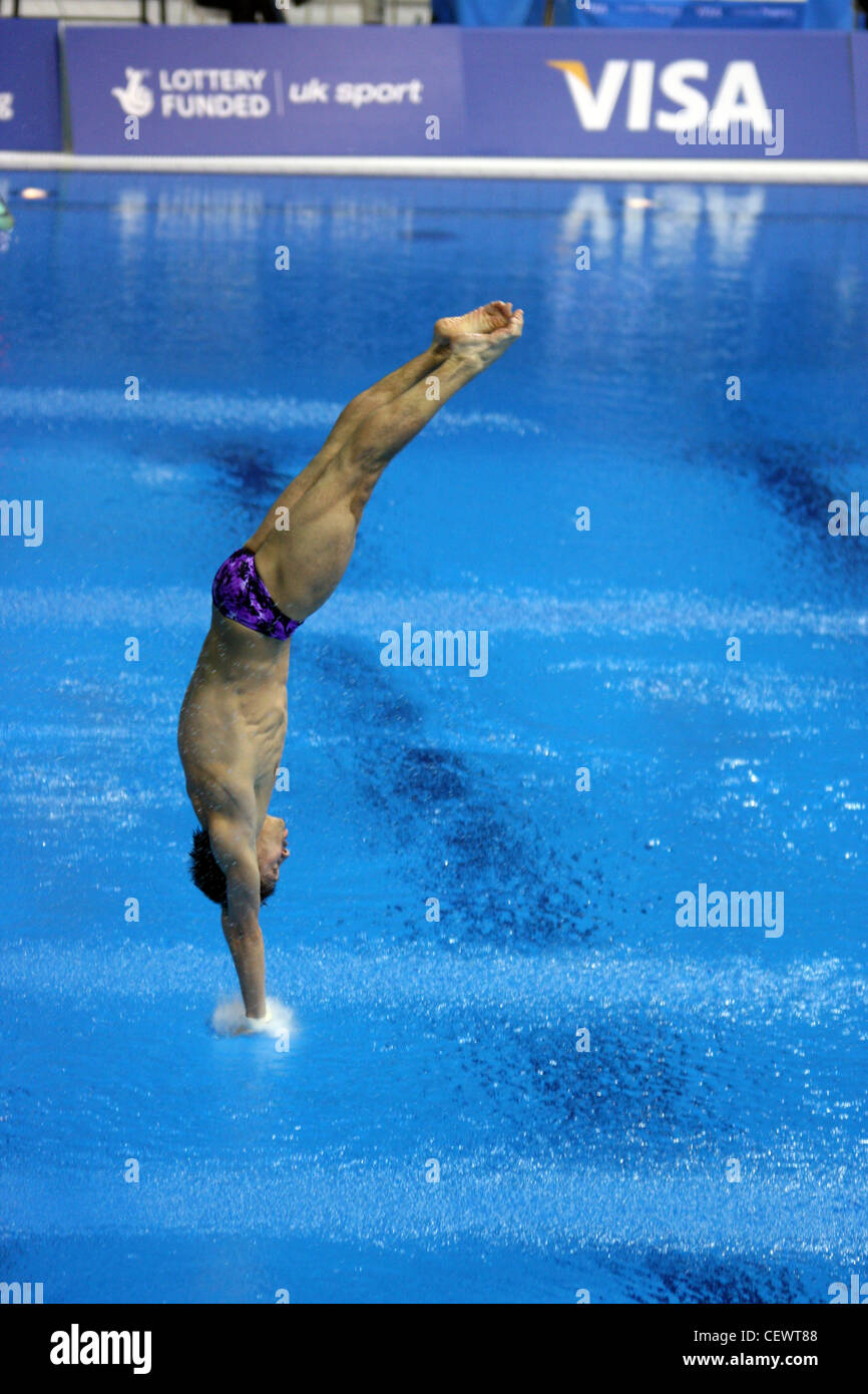 Illya KVASHA (UKR) nei singoli 3m Springboard al diciottesimo FINA Visa Diving World Cup 2012 al Aquatics Centre. Foto Stock