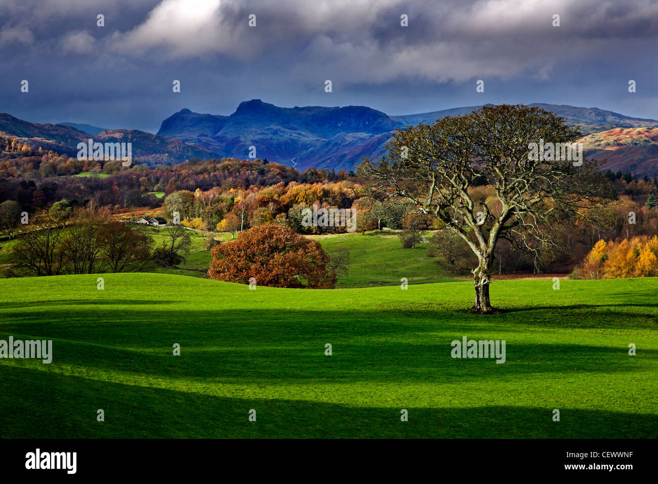La vista attraverso i giardini del Castello di Wray verso il Langdale Pikes. Wray non è un vero e proprio castello ma una casa privata costruita in184 Foto Stock