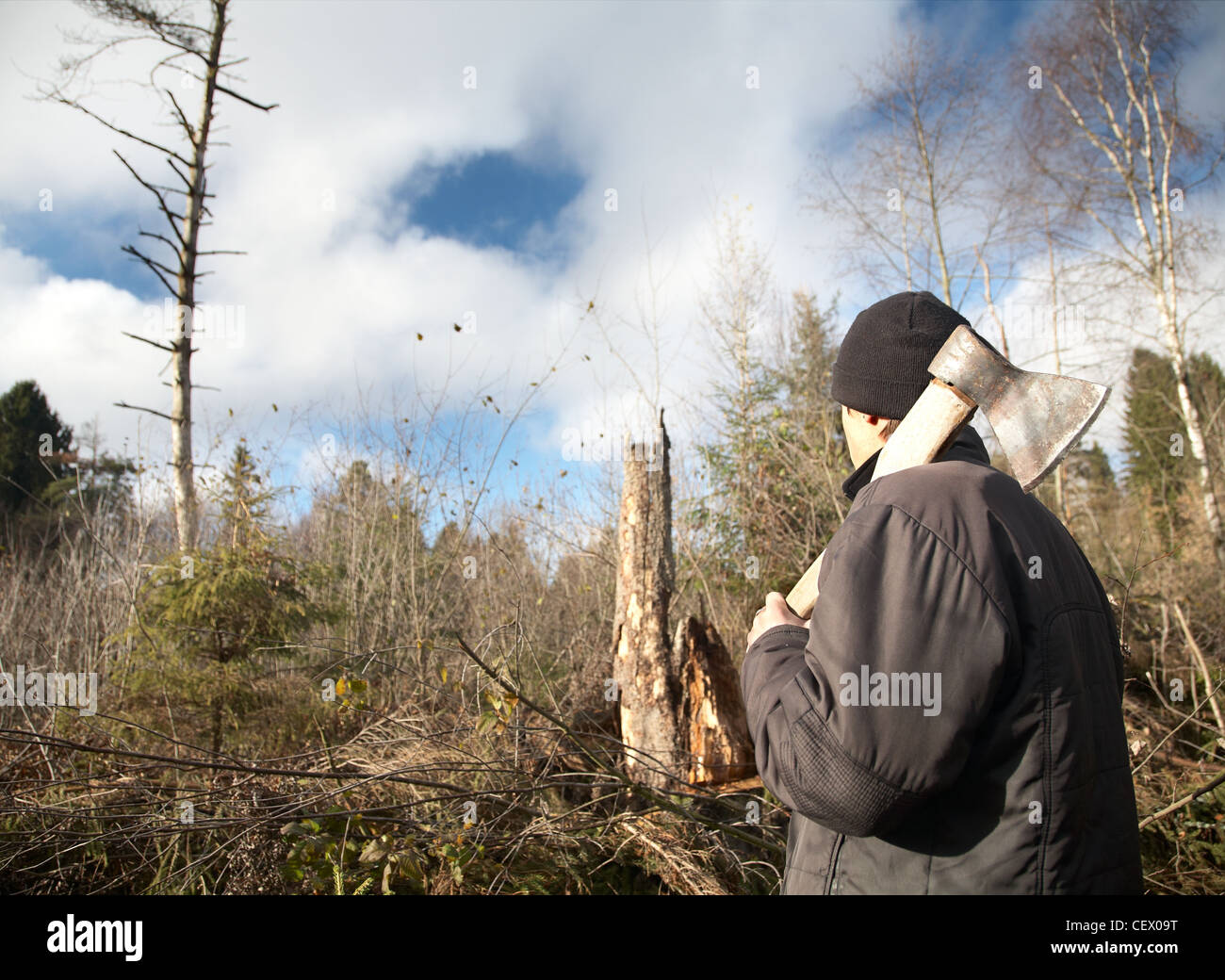 L'uomo con un'ascia guarda il tumbled giù il legno nel pomeriggio autunnale Foto Stock