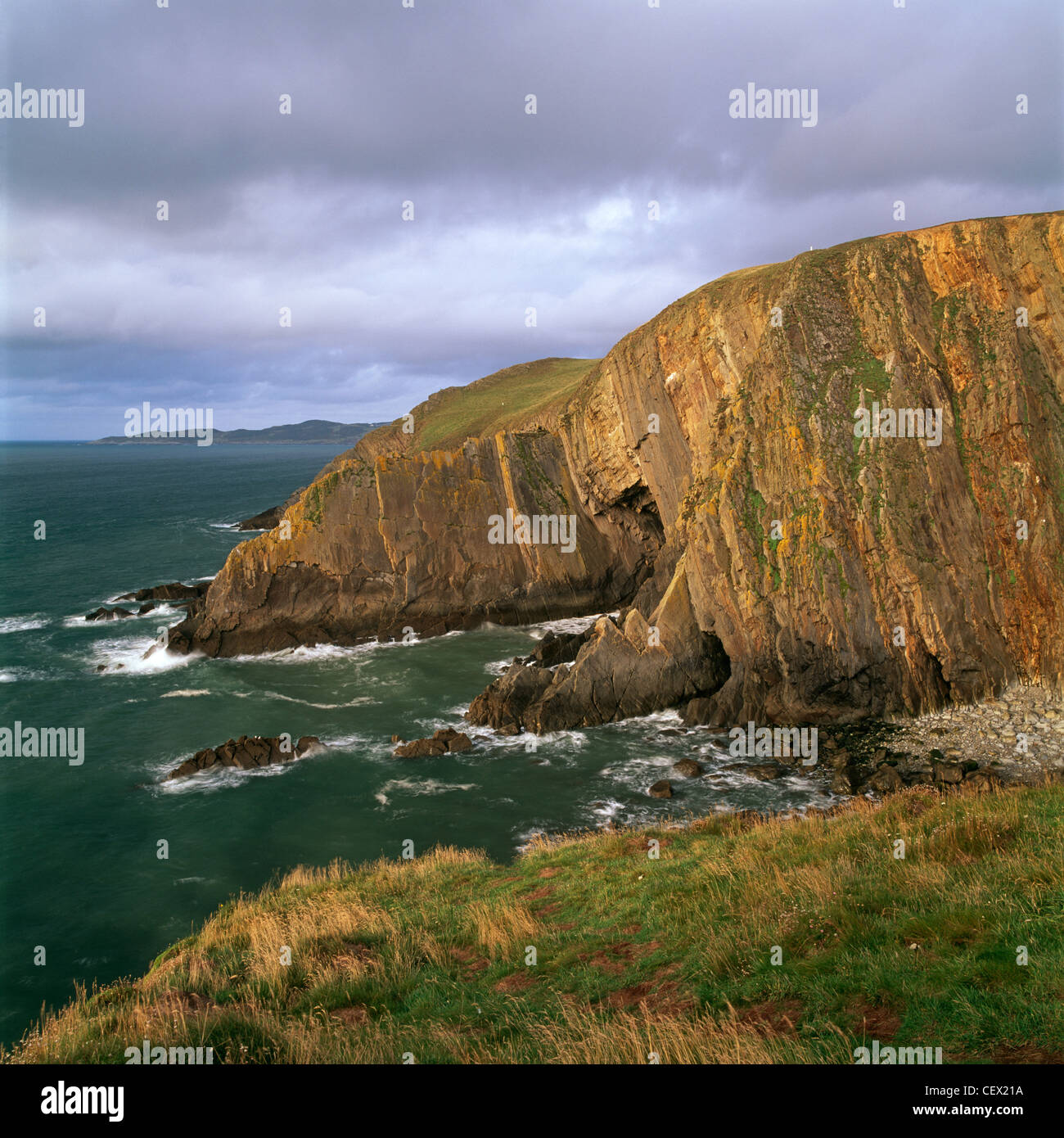 Il robusto North Devon Coast al punto larghi vicino a Woolacombe. Foto Stock
