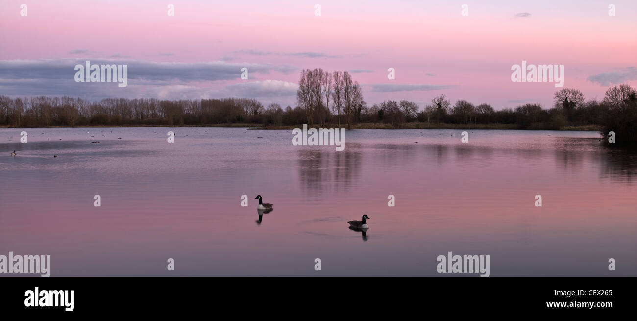 Inverno tramonto sul Lago Mallard in basso Moor Farm Riserva Naturale. Abbassare Moor Farm è il Wiltshire Wildlife Trust è un tentativo Foto Stock