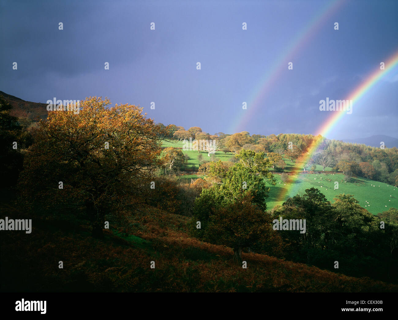 Tempesta di luce con doppio arcobaleno contro il cielo scuro su colline gallesi. Foto Stock