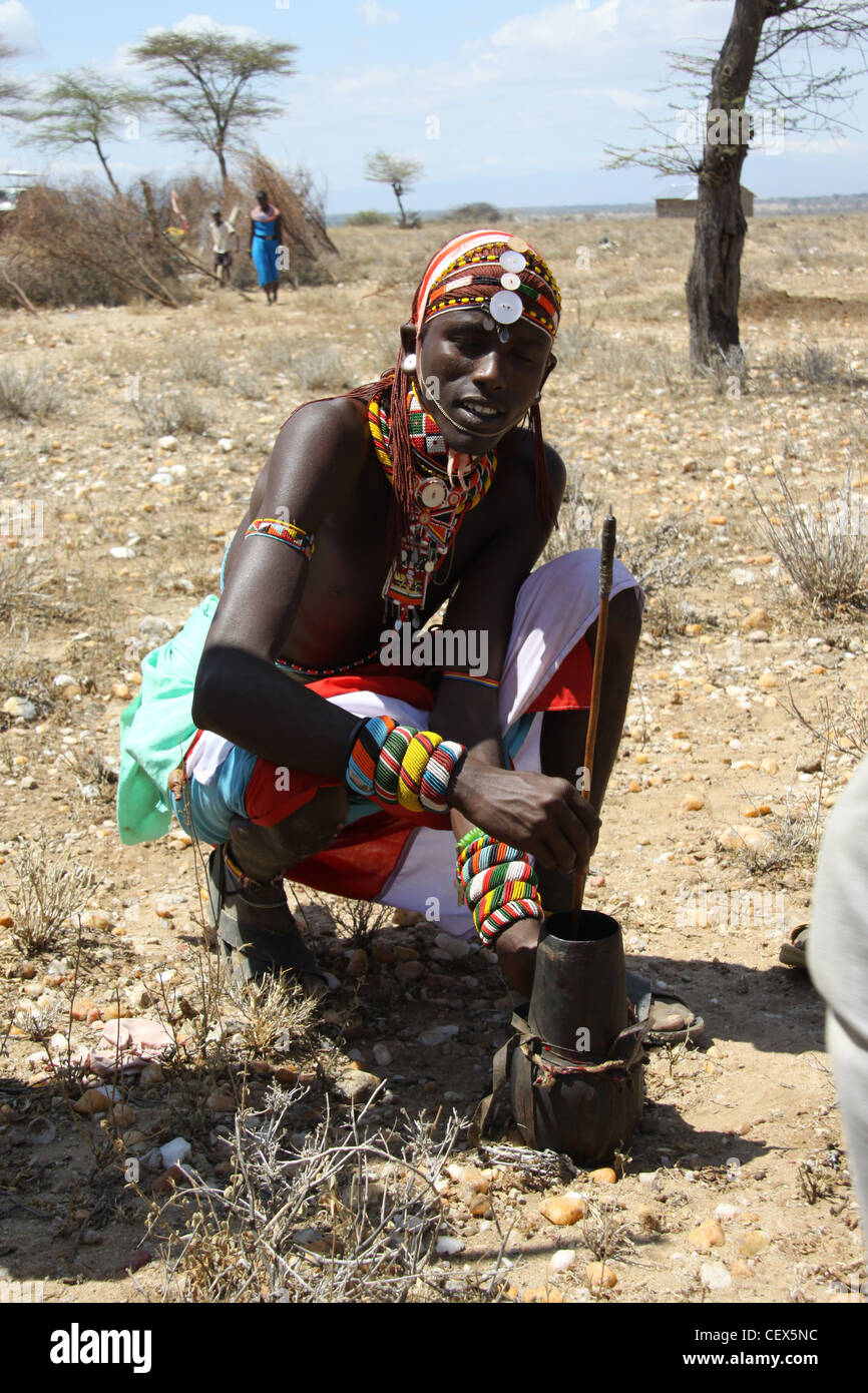 Pokot tribù, Kenya, sangue-latte. Una mucca id bled e il sangue viene bevuto come parte delle tribù dieta Foto Stock