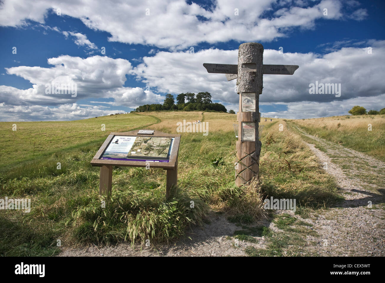 Una scheda di informazioni e un segno posto da una via che conduce fino a Wittenham Clumps (noto meno rispettosamente come Madre del Dunch Buttoc Foto Stock