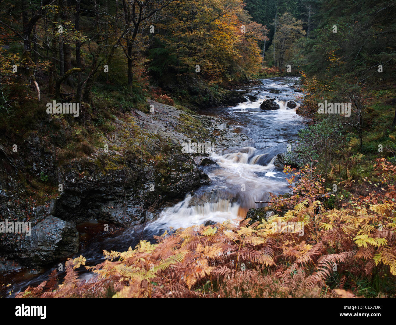 River Mawddach fluente attraverso il Coed y Brenin Forest Park nel cuore del Parco Nazionale di Snowdonia. Foto Stock