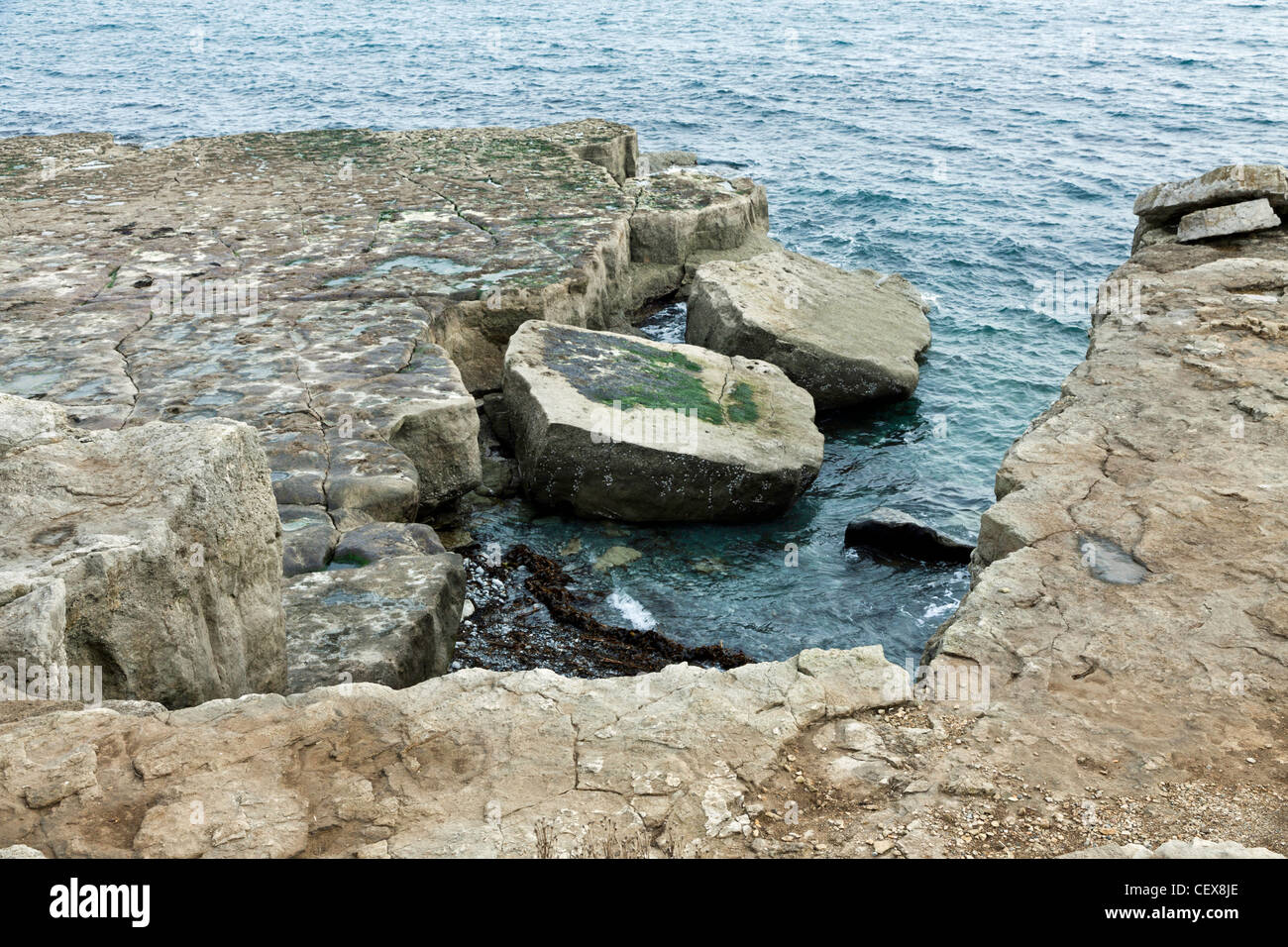 Rock erosione su Portland Dorset Foto Stock