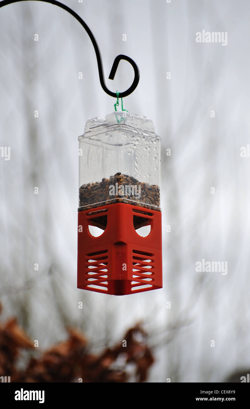 Hanging Bird Feeder con arachidi Foto Stock