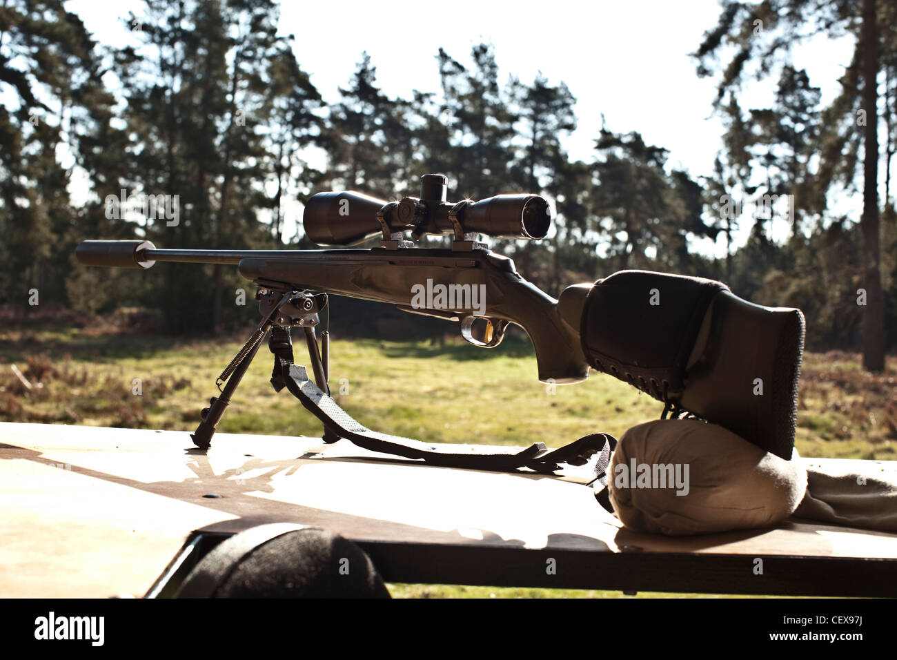 Deer hunting Rifle, pistola a Thetford Forest, Regno Unito Foto Stock