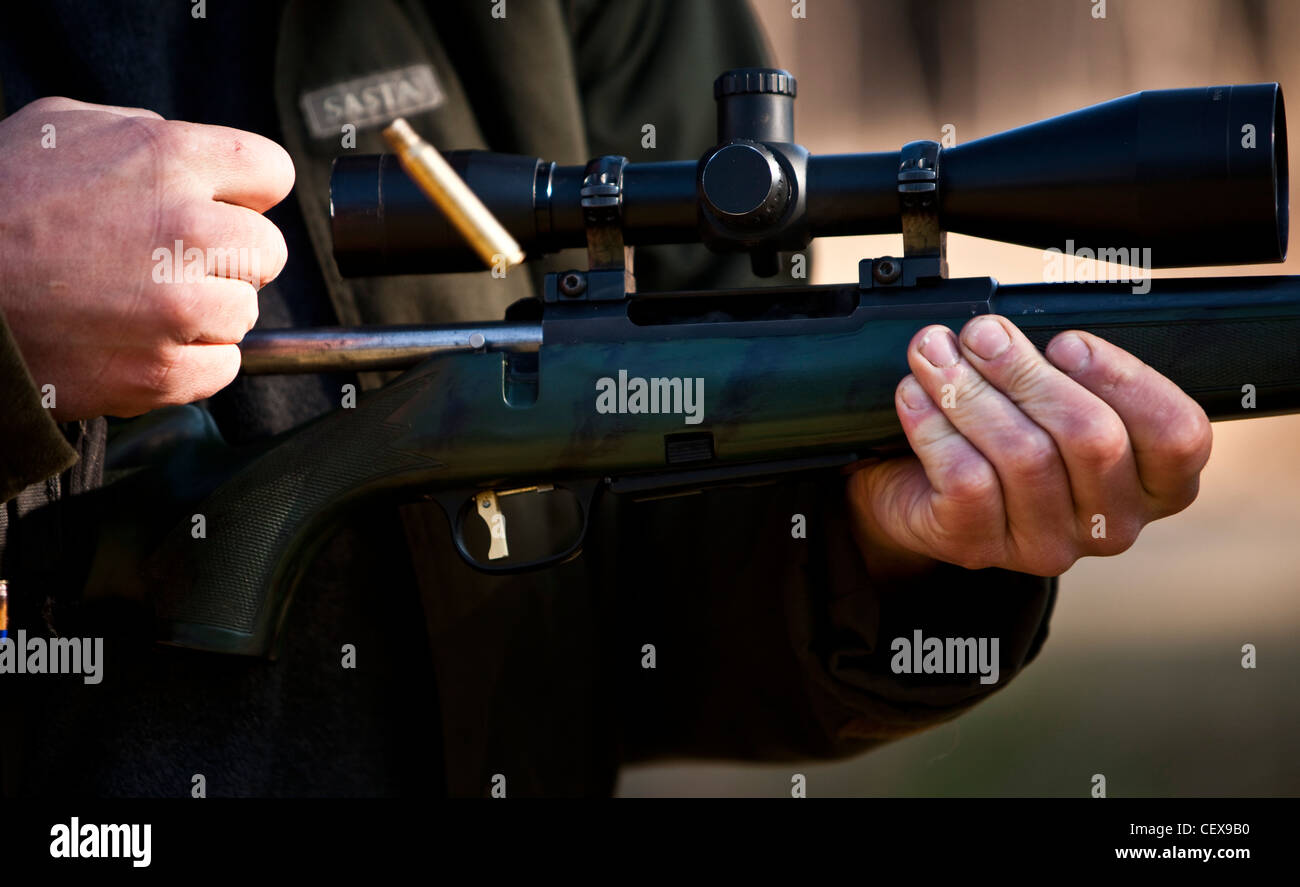 Uomo fucile carico, cacciatore dei cervi, Thetford Forest, Regno Unito Foto Stock