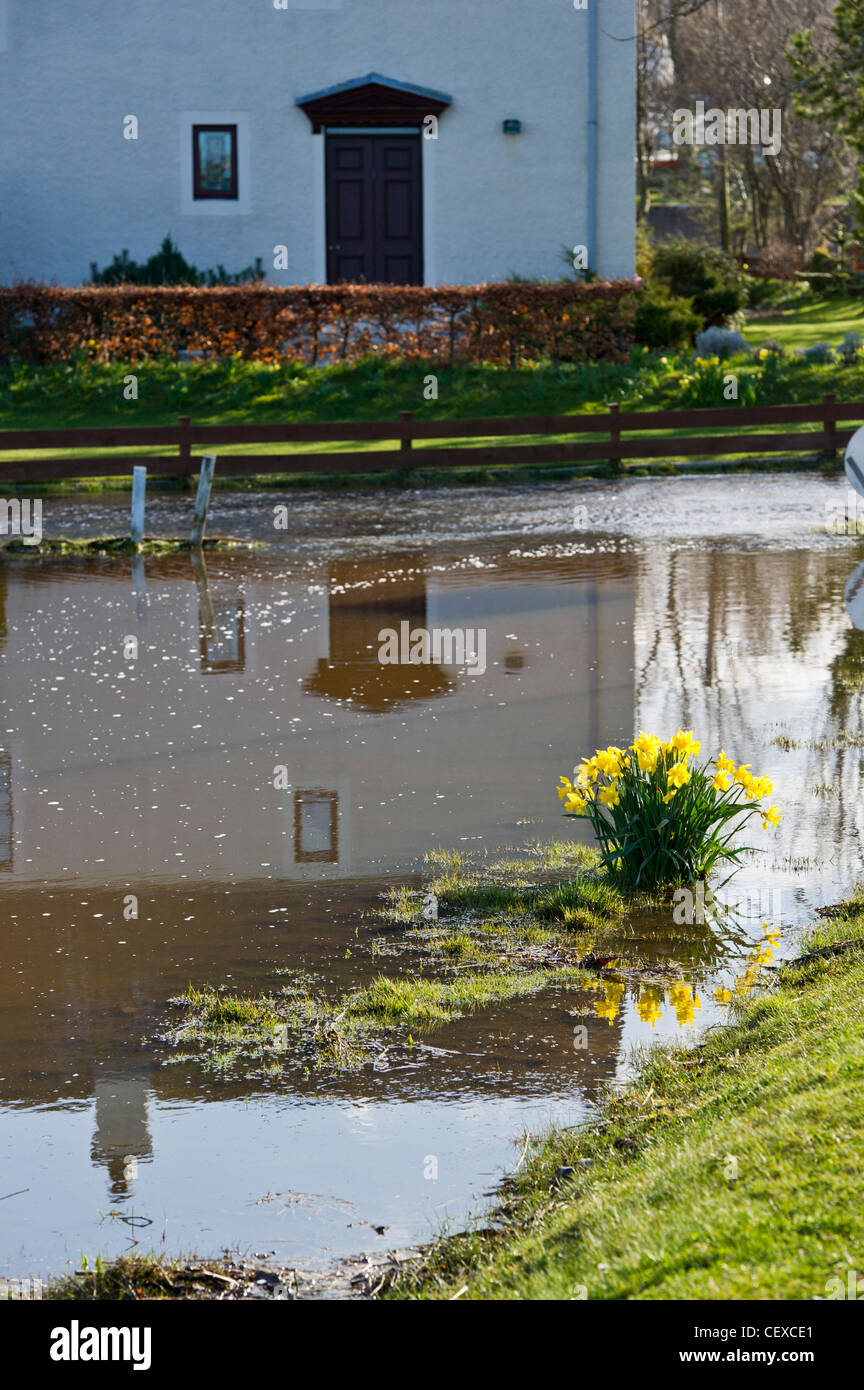 Acqua di inondazione dal fiume Spey circonda la proprietà in Garmouth, Scozia in aprile 2010 a causa di neve pesante fuso. Foto Stock