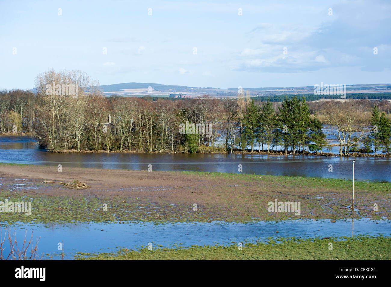 Le inondazioni del fiume Spey interrompe e circonda Queenshaugh vicino a Garmouth, Scozia in aprile 2010 a causa di neve pesante fuso. Foto Stock