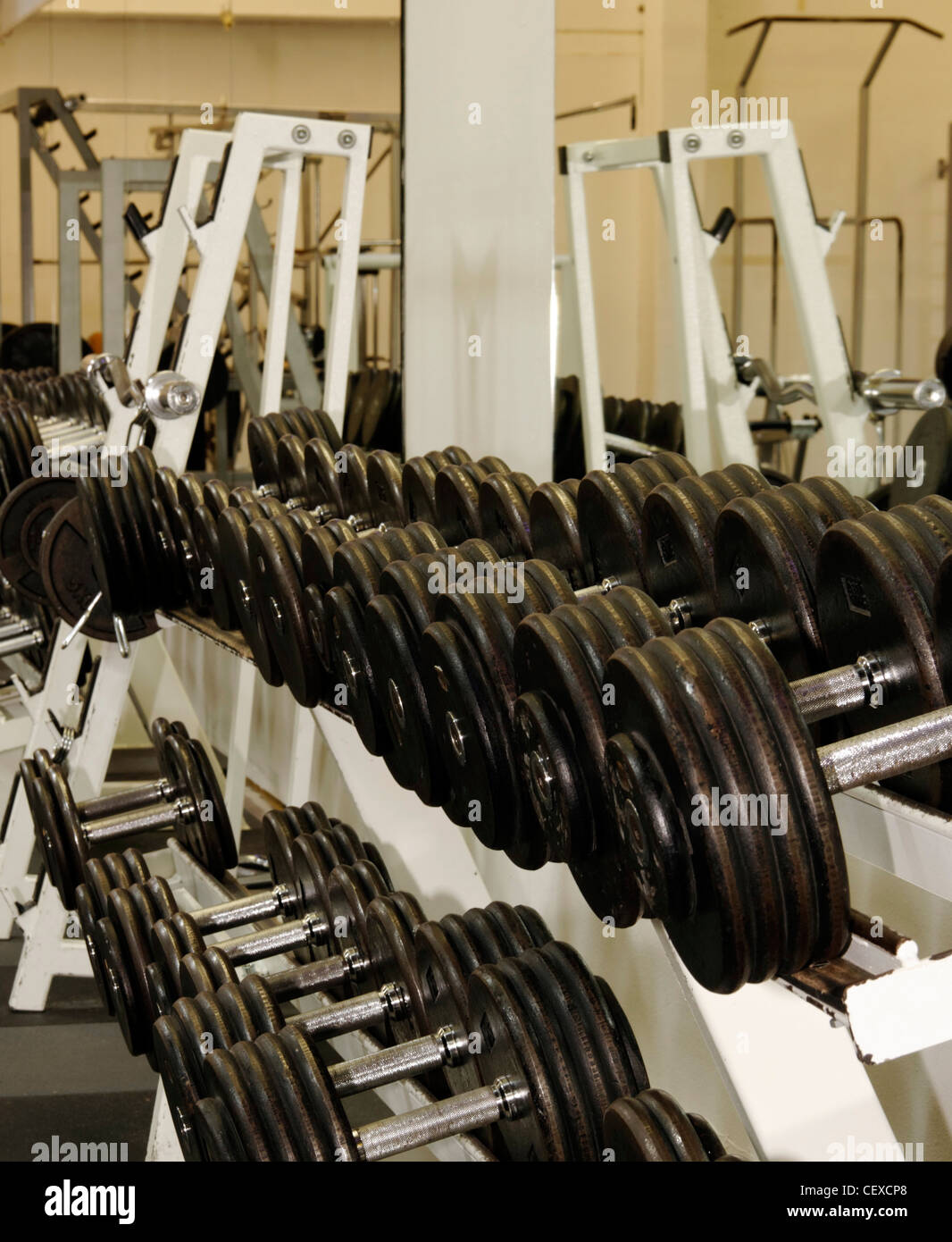 Molti pesi nella palestra Foto Stock