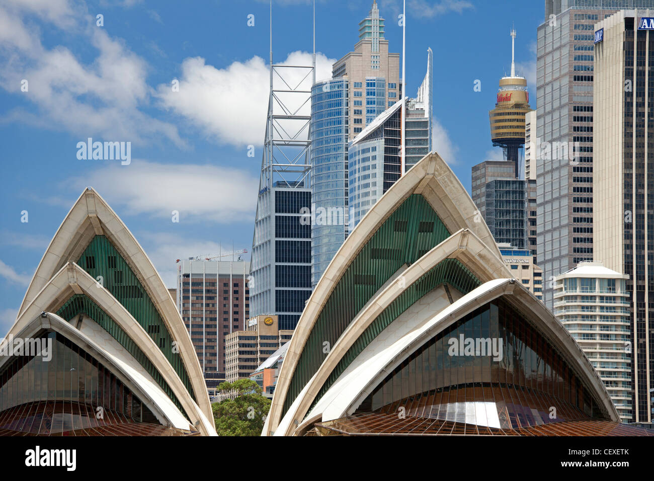 Sydney Opera House, il porto e il centro cittadino di Sydney, Australia Foto Stock