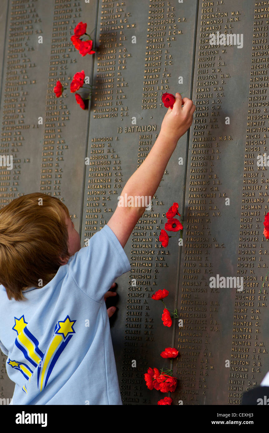 Ragazzo collocando un papavero in Australian War Memorial a Canberra su Anzac Day Foto Stock