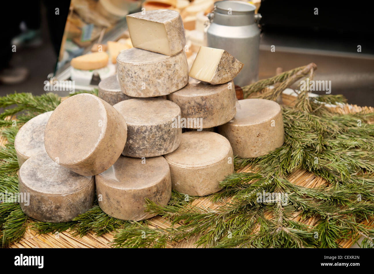 Display del grand causses formaggio in un mercato in stallo su un ramo di pino e borsa di tela. Borough Market LONDON REGNO UNITO Foto Stock