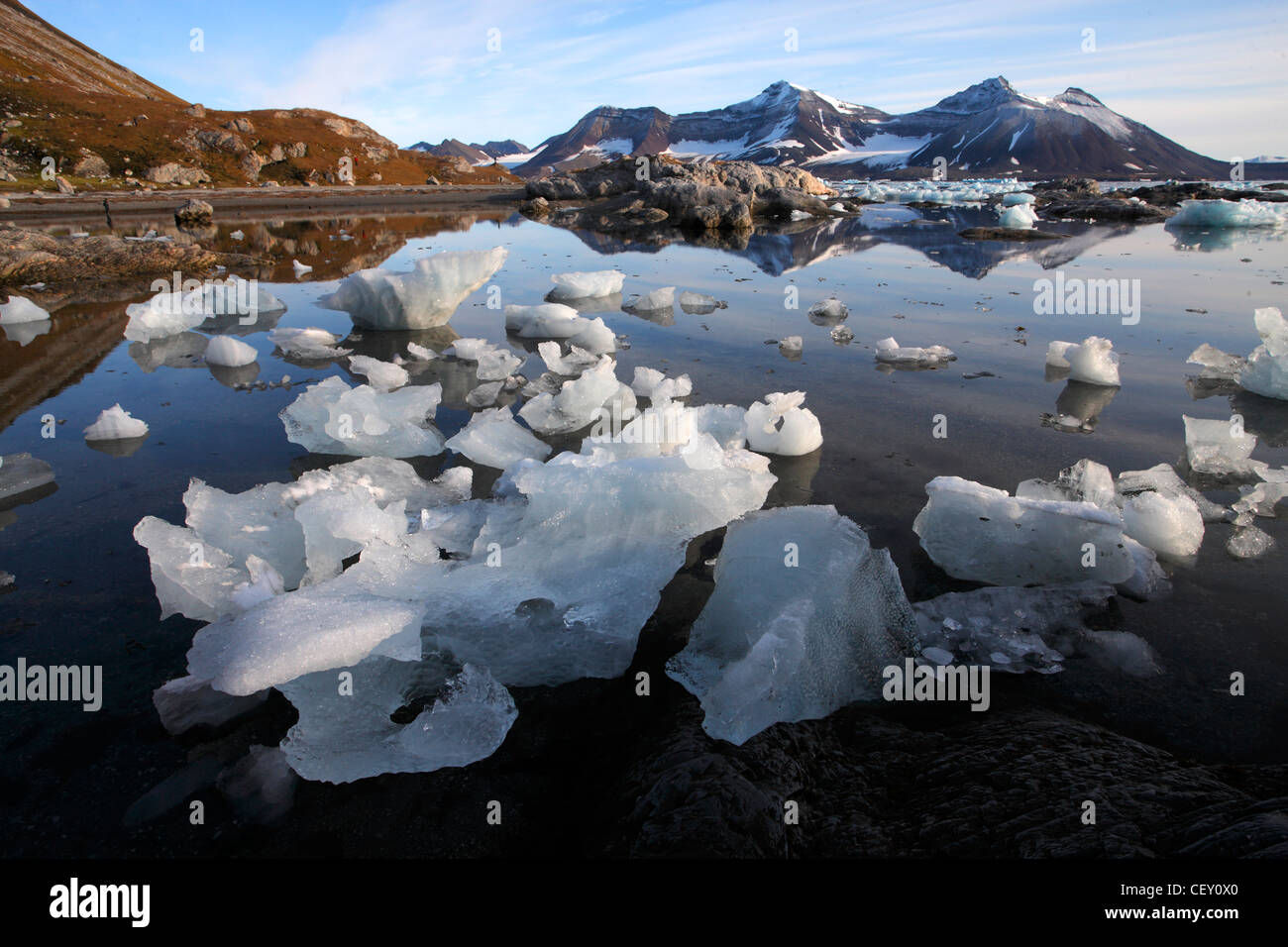 Il ghiaccio del ghiacciaio a riva, Hornsund, southern Svalbard, Norvegia Foto Stock