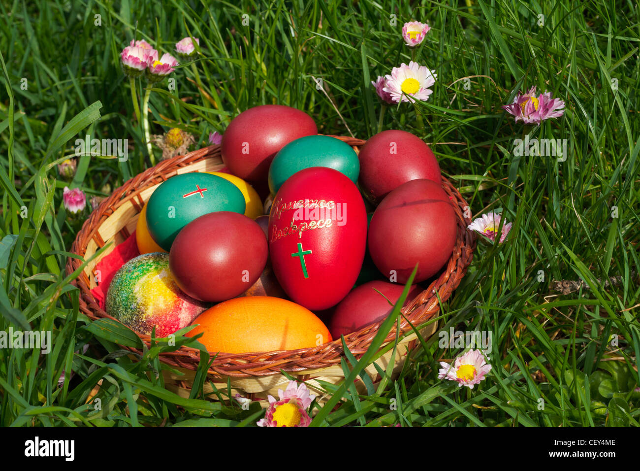 Colorate le uova di Pasqua in un contenitore, poste sulla molla verde erba con fiori Foto Stock