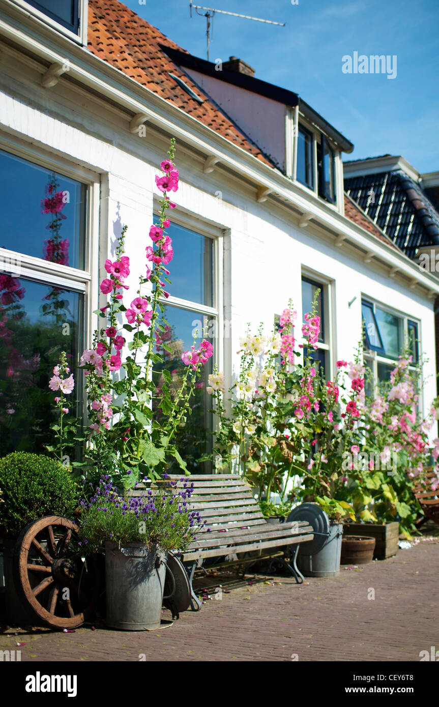 Pittoresca casa con un banco e fiori in Jourre (provincia della Frisia). Foto Stock