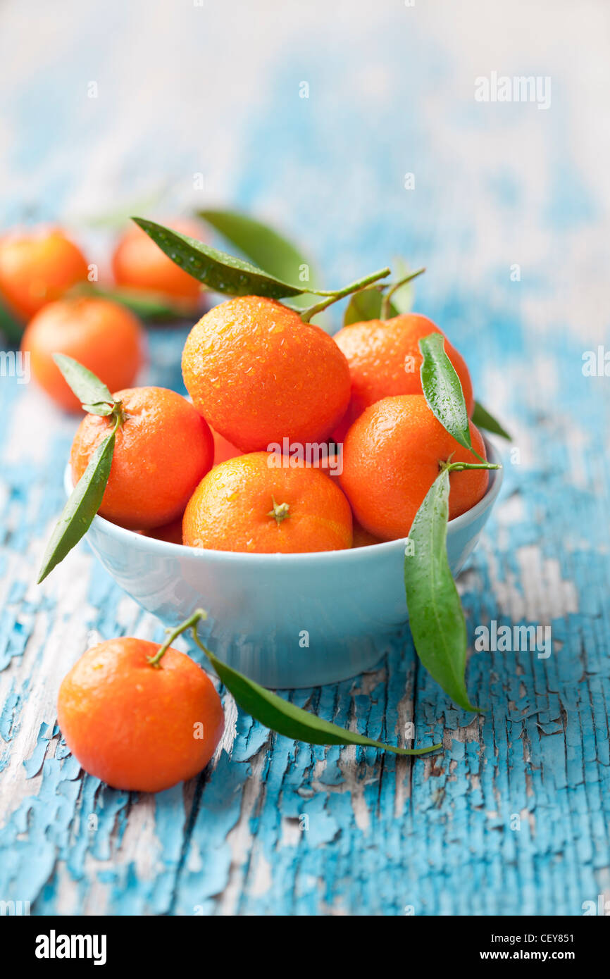 mandarini Foto Stock