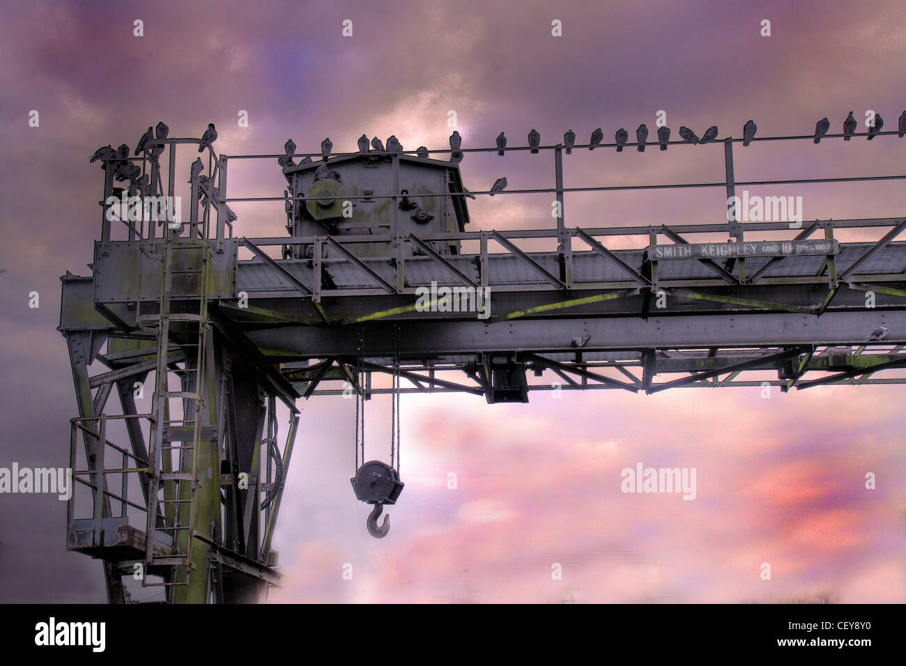 Elenco pesante Crane sopra il canale di nave di Manchester a latchford Locks, Warrington del sud, Cheshire, Inghilterra Regno Unito, WA4 Foto Stock