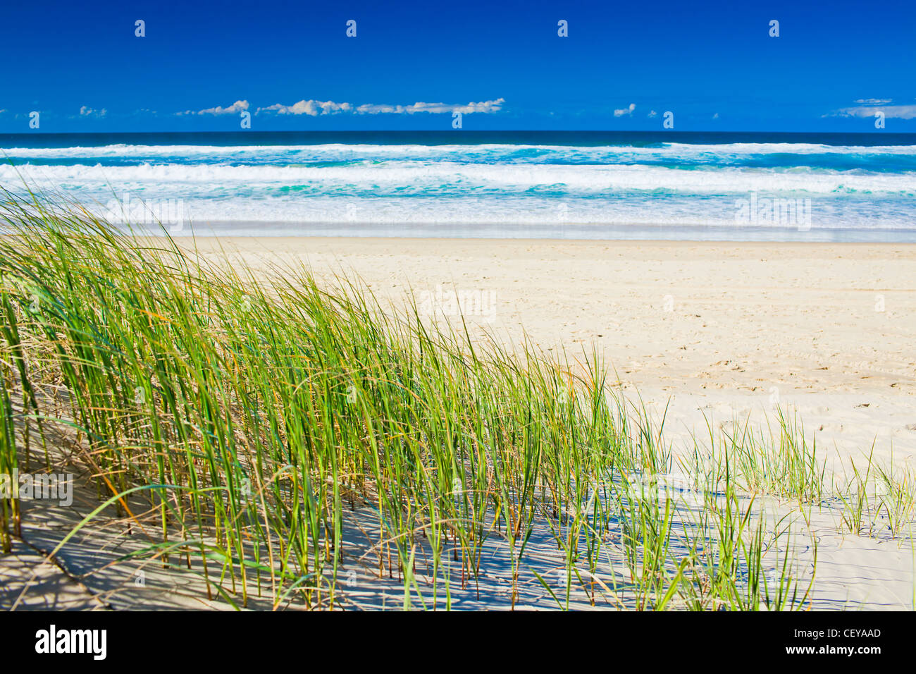 Erba e spiaggia di sabbia sulla giornata di sole di Gold Coast di Queensland Foto Stock