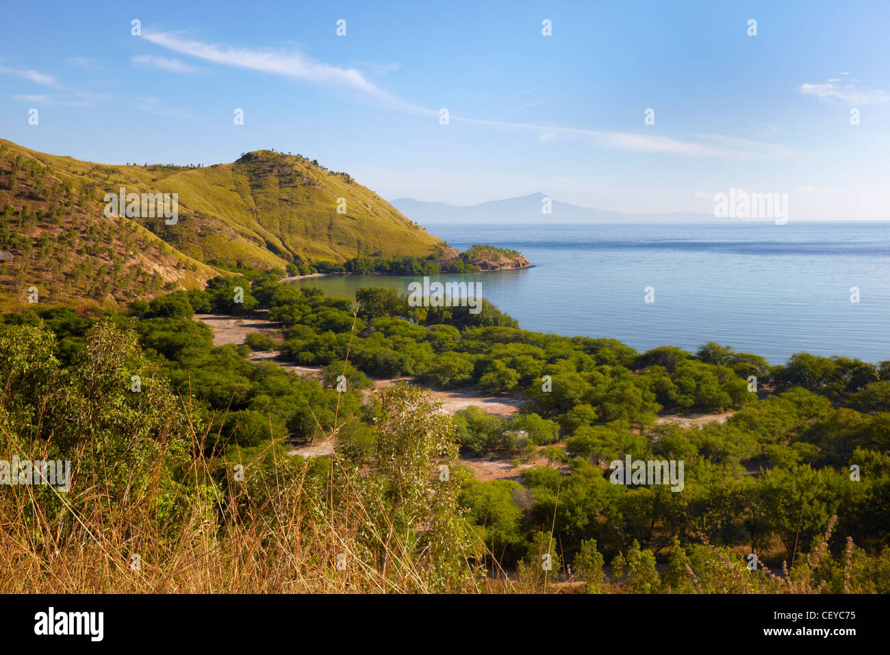 Cape Fatucama, Timor orientale, Asia Foto Stock