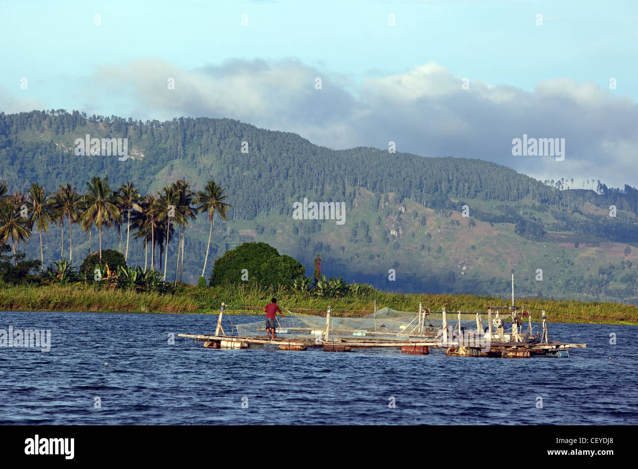 Allevamento di pesce sul Lago Toba a Simanindo. Isola di Samosir, Lago Toba, nel nord di Sumatra, Sumatra, Indonesia, Asia sudorientale, Asia Foto Stock