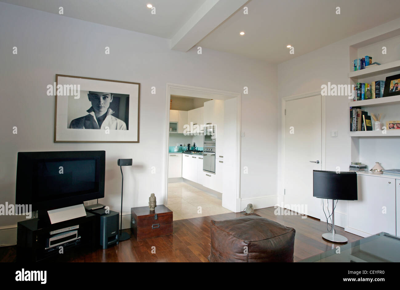 Bachelpad artistico Niccolo Benvenuti vive in un appartamento ristrutturato che conserva ancora si tratta delle caratteristiche Vittoriane originali Foto Stock