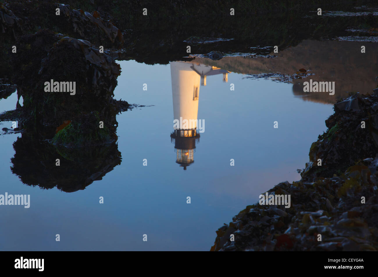 Yaquina Capo Faro riflessa nell'acqua; newport oregon stati uniti d'America Foto Stock