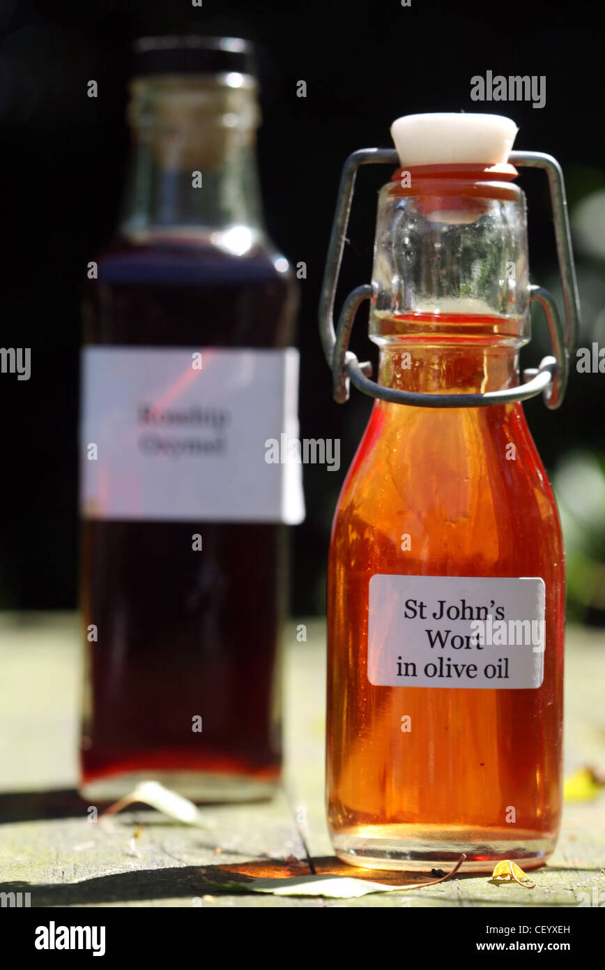 Bottiglie con siepe medicinali: St John's Wortwounds e rosa canina Oxymelsore gole, Wymondham, Norfolk Foto Stock