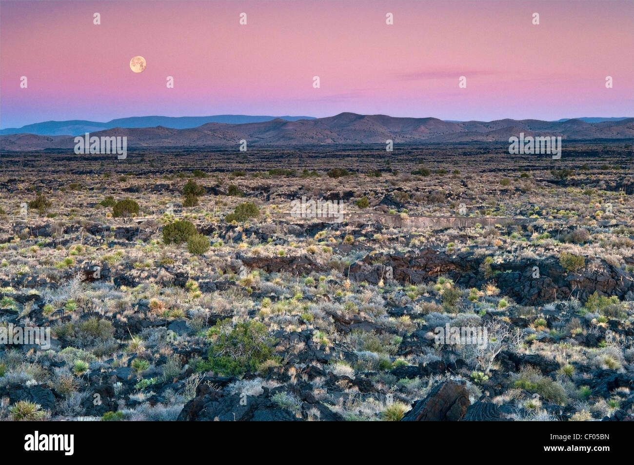 Impostazione della luna in basso a sunrise over Carrizozo Malpais campo lavico, Valle di incendi, vicino Carrizozo, Nuovo Messico, STATI UNITI D'AMERICA Foto Stock